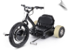 MotoTec Drifter 48v Electric Trike